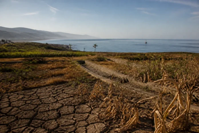 El Niño din 2026 ar putea fi cel mai puternic din ultimul secol