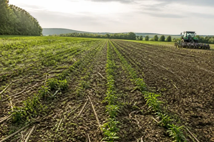 Agricultura fără „pământ curat”
